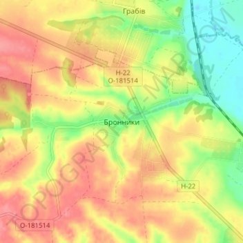 Топографічна карта Бронники, висота, рельєф