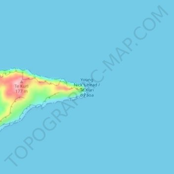 Топографічна карта Young Nick's Head / Te Kuri o Pāoa, висота, рельєф