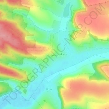 Топографічна карта Бишки, висота, рельєф