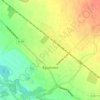 Топографічна карта Буштино, висота, рельєф