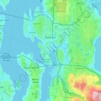 Топографічна карта Белв'ю, висота, рельєф