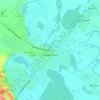 Топографічна карта Царичанка, висота, рельєф